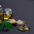 uso medicinal da maconha no brasil