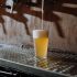 Sabores de chopp artesanal