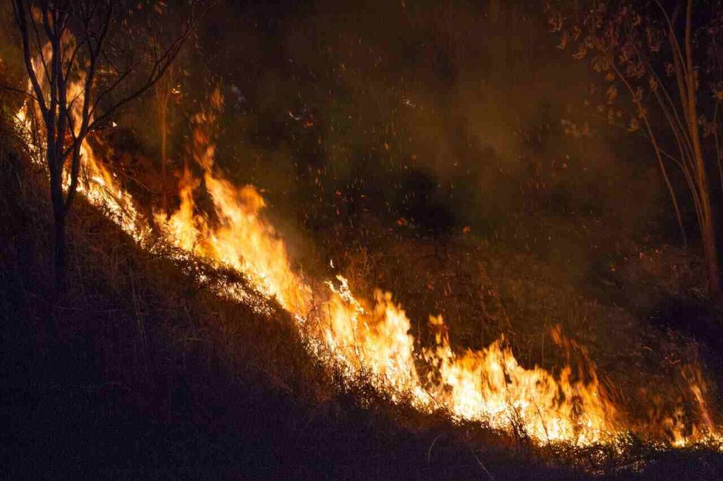 Diferença entre queimada controlada e incêndio florestal
